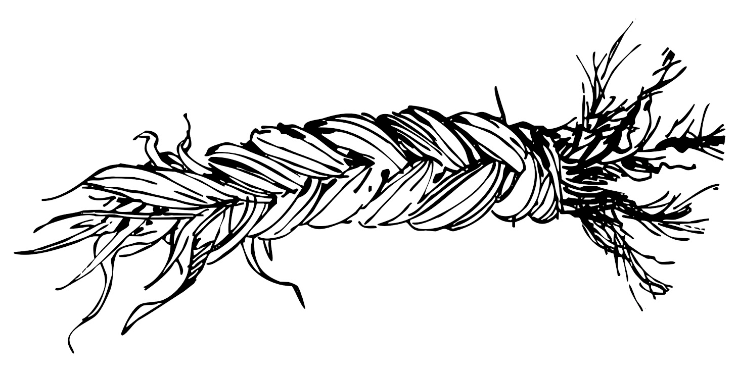 A black and white drawing of a braid of sweetgrass